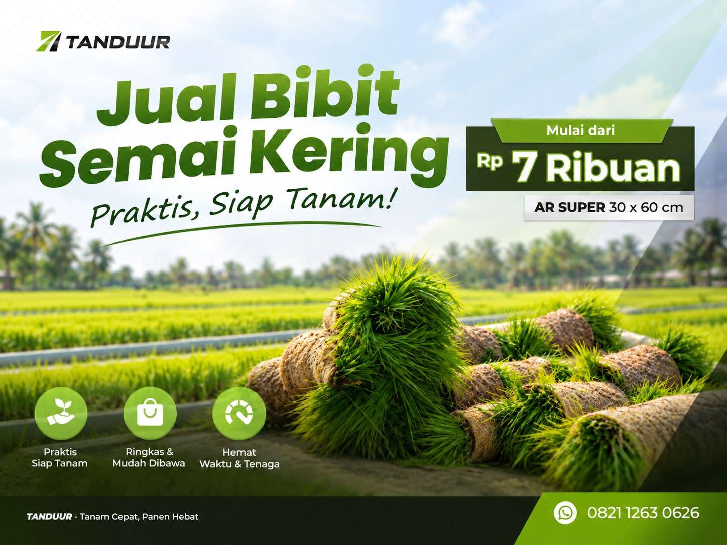ciri benih padi yang layak digunakan untuk persemaian