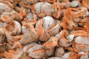 Sabut kelapa untuk hidroponik