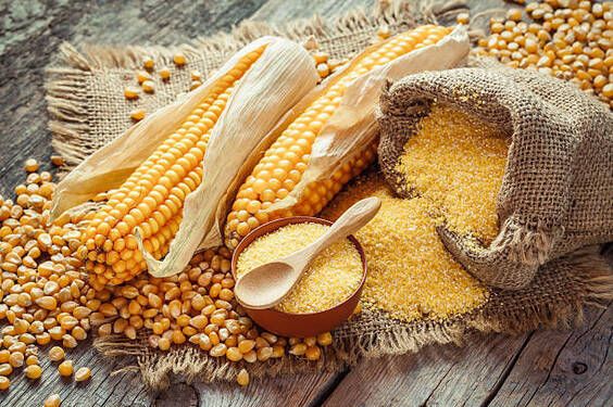 cara menggiling jagung