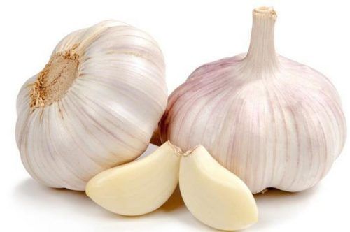 manfaat bawang putih