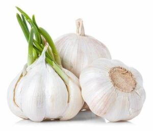 manfaat bawang putih
