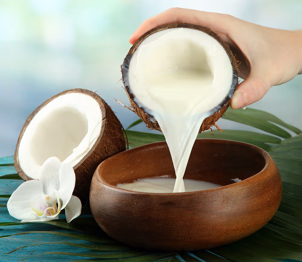bisnis santan kelapa