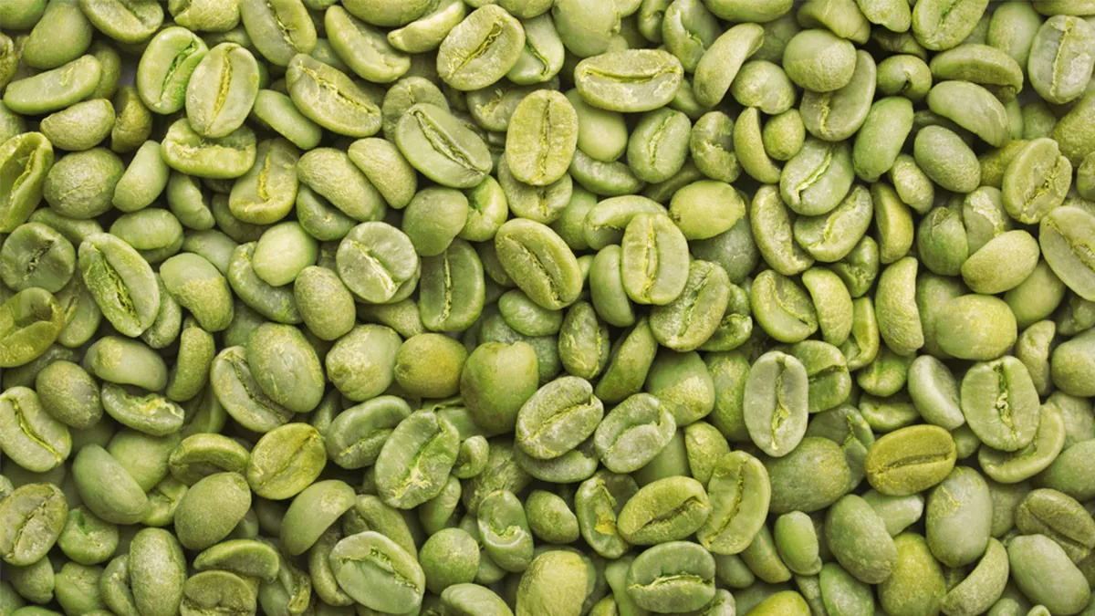 Manfaat Kopi Hijau