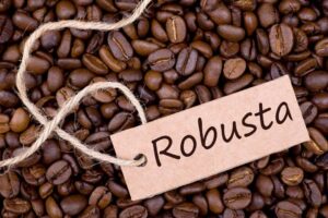 Manfaat Kopi Robusta Asli