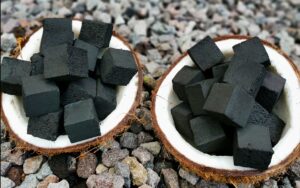 bahan dasar briket kelapa