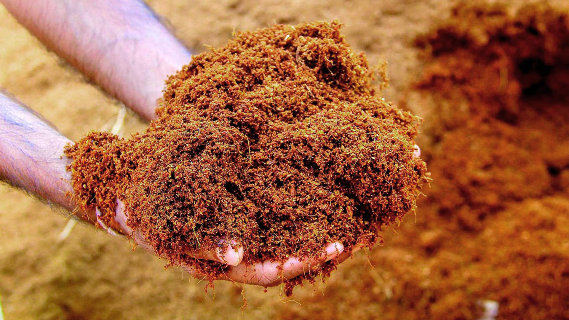 cara mengolah cocopeat