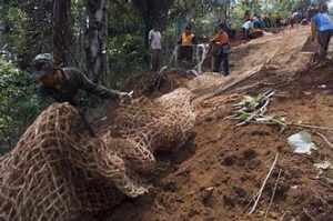 Cocomesh alami untuk rehabilitasi hutan