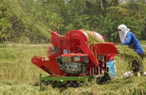 cara kerja power thresher padi