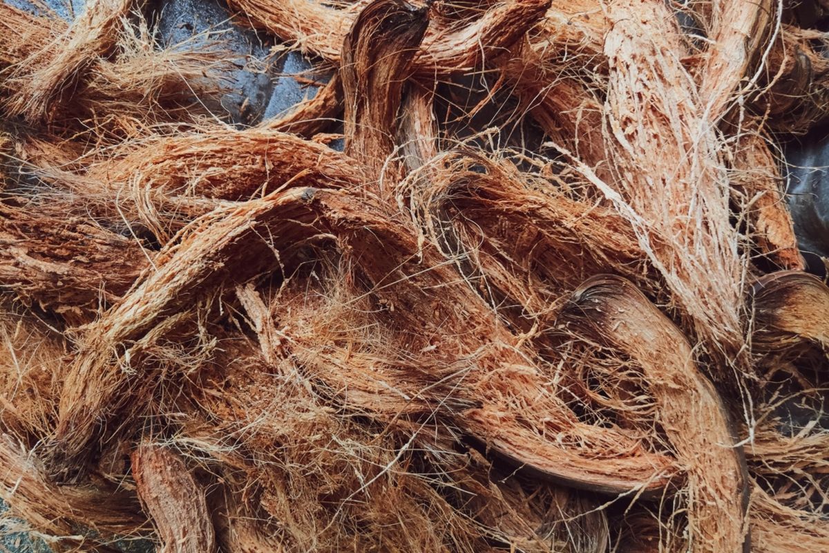 Sabut Kelapa sebagai Material Alternatif