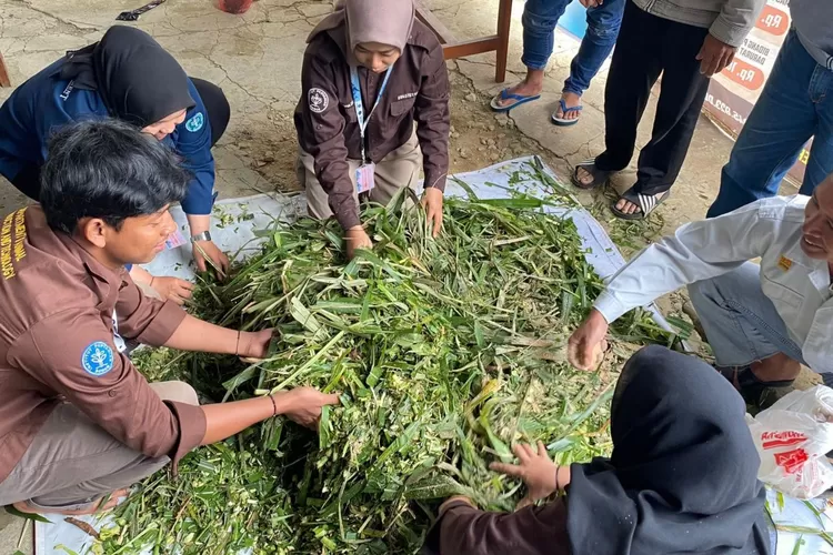 teknik pengumpulan hijauan efisien