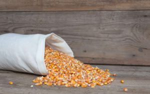 perbedaan pemipil jagung manual dan modern