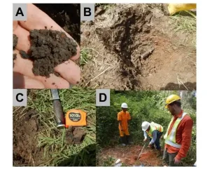 Cara meningkatkan bahan organik tanah tambang