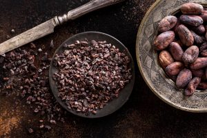 proses fermentasi biji kakao yang benar