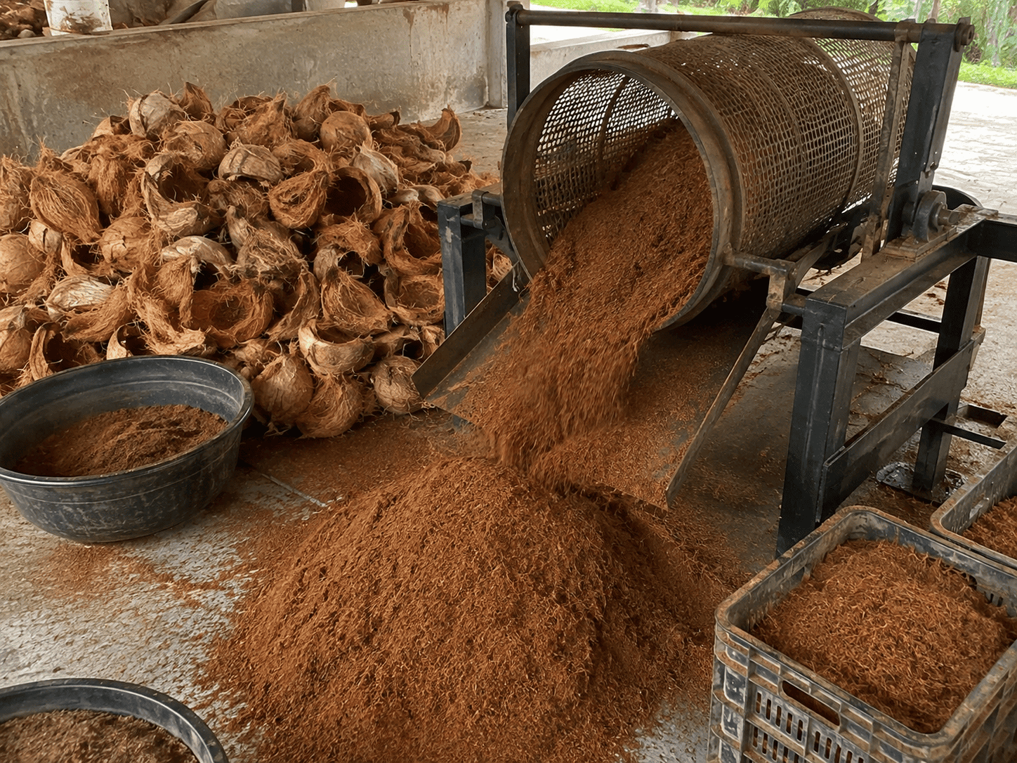 cara menggunakan cocopeat untuk tanaman