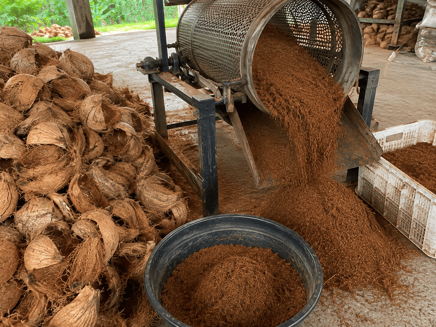 manfaat cocopeat untuk tanaman