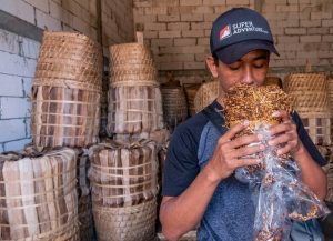 aroma rajangan tembakau berkualitas