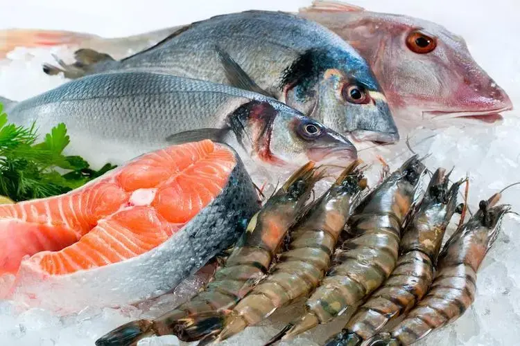 pemisahan duri ikan untuk usaha