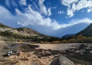 Pengaruh topsoil terhadap revegetasi tambang