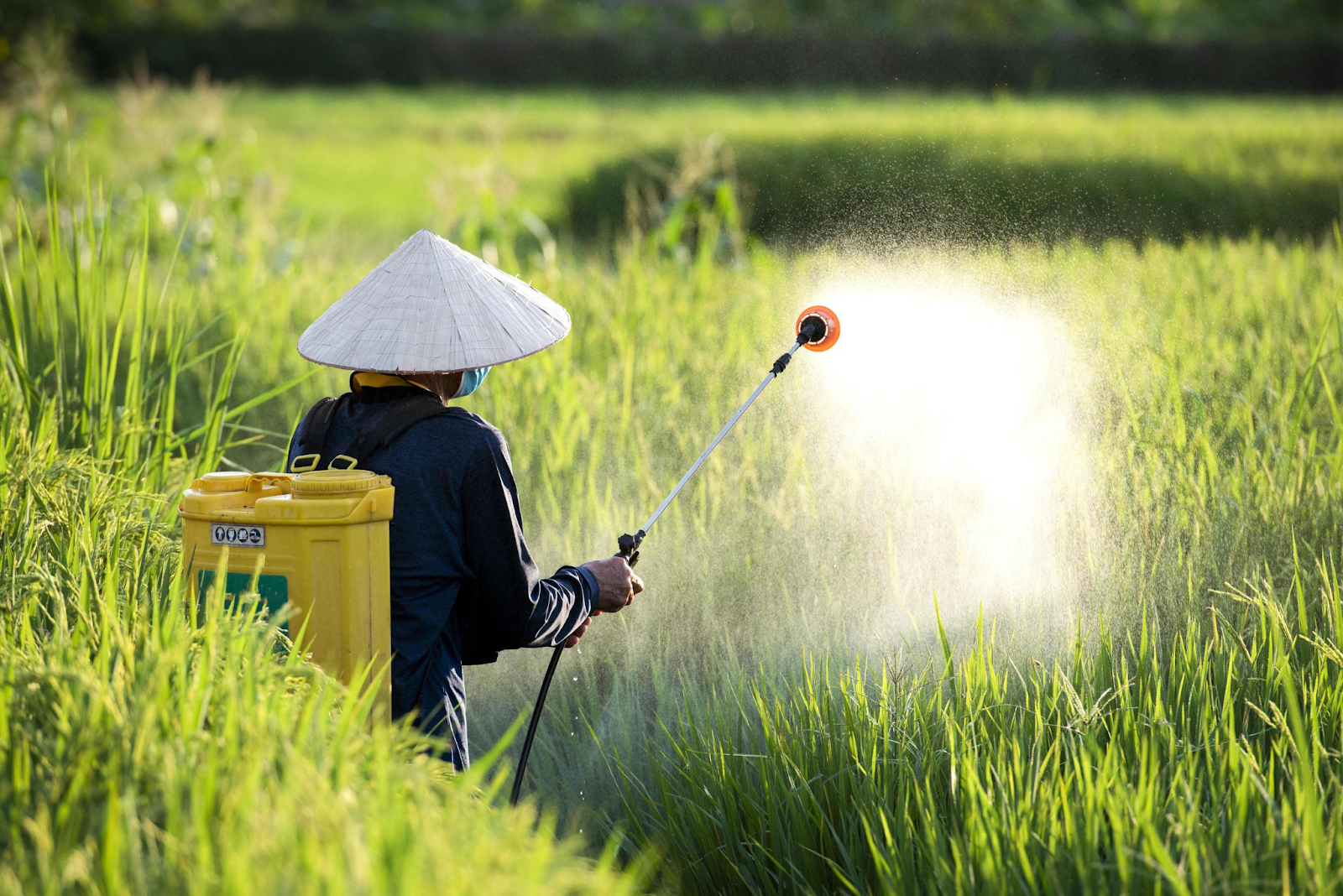 cara mempercepat penyemprotan tanaman